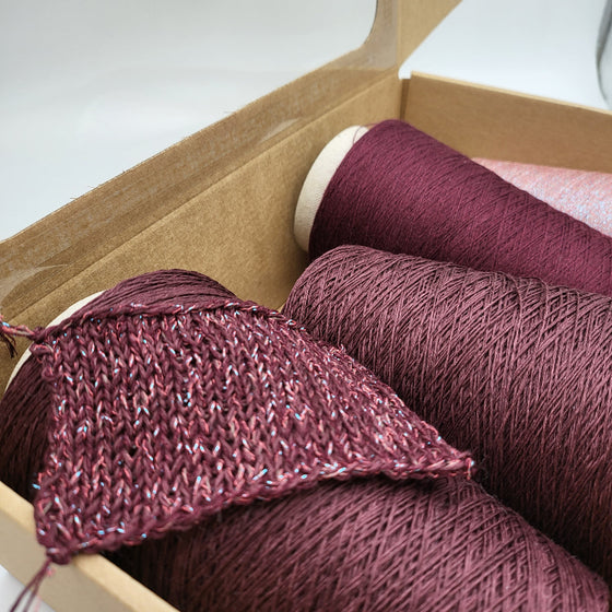 PROJECT BOX 389 | DĀVĀJA MĀRIŅA