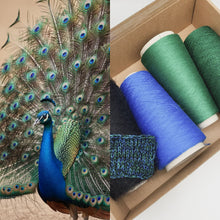  PROJEKTU KASTE 491 | PEACOCK